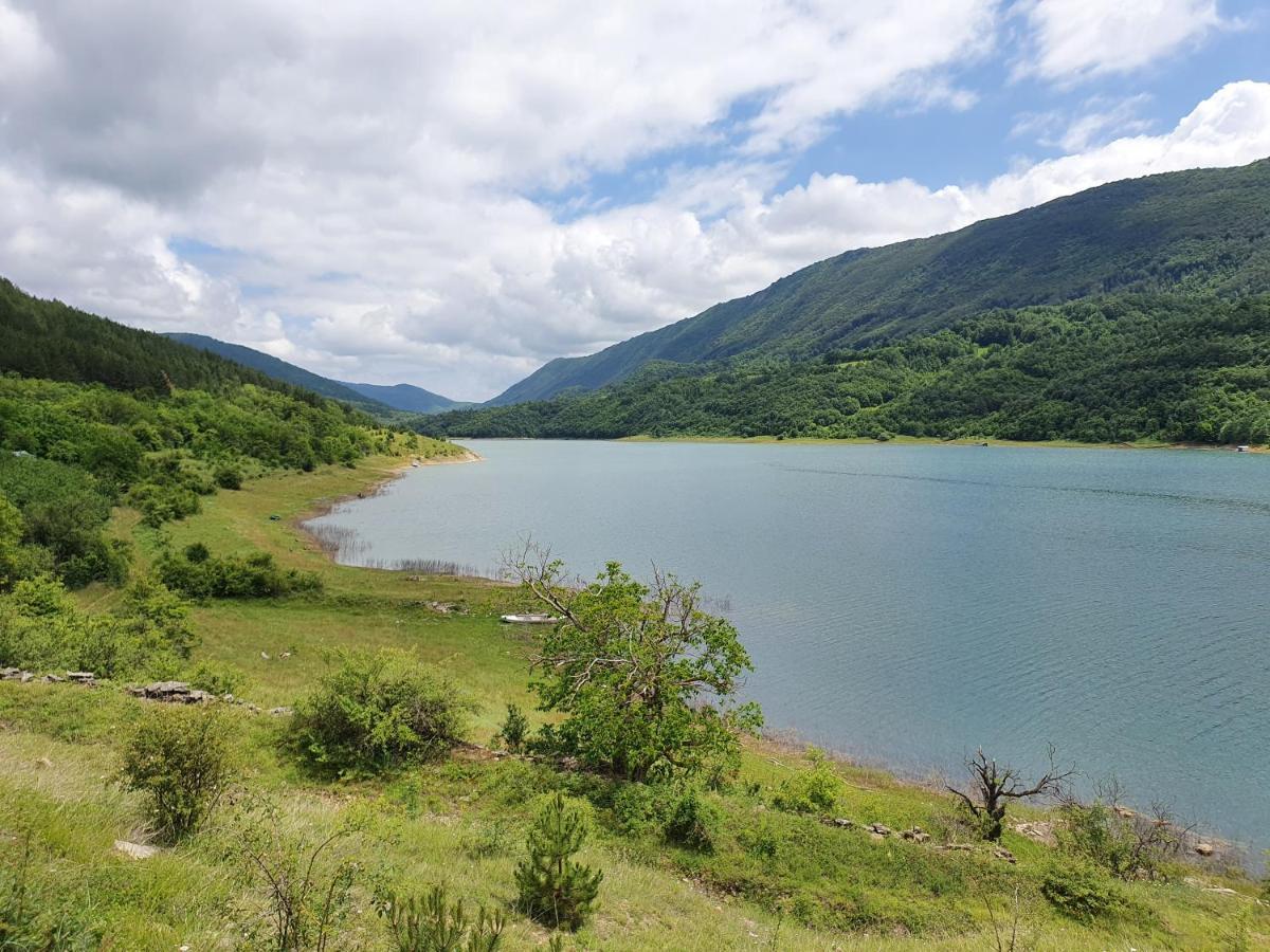 Zavojsko Jezero Pirot - Smestaj Manic Casa de hóspedes Gostusa Exterior foto
